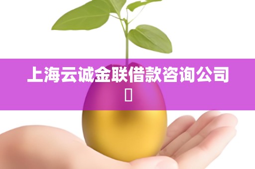 上海云诚金联借款咨询公司​