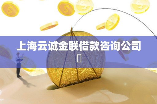 上海云诚金联借款咨询公司​