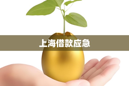 上海借款应急