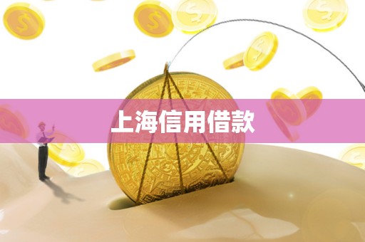 上海信用借款