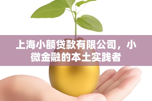 上海小额贷款有限公司，小微金融的本土实践者