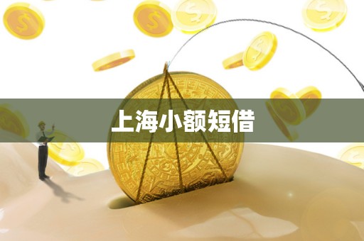 上海小额短借
