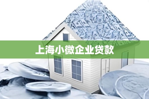 上海小微企业贷款